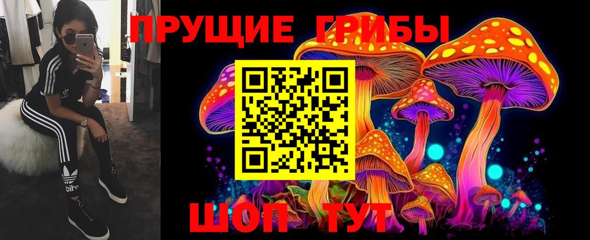 Одинцово  Галлюциногенные грибы прущие грибы  Вход с VPN 